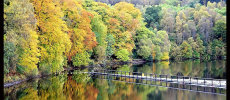 Loch Faskally