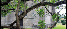 Dunkeld Cathedral