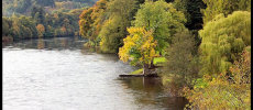 The Tay Bank at Dunkeld
