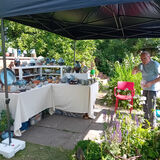 Dovecot Gallery Midsummer Potters Market 2025