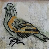 Hilary Cartmel Dove