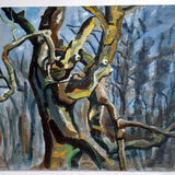 Hilary Cartmel Oak in spinny