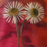 Joanne Thorpe