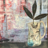 Kate Hooper