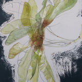 Kate Houghton