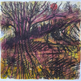 Lucy Hawkins