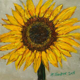 Pat Shenstone Sunflower