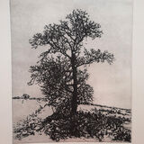 Sally Loughridge - Tree