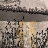 Sally Hellewell