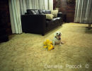 "My dog is my little buddy. He always stayed by me when I was sad. I remember hugging him and crying to him." - Barbara