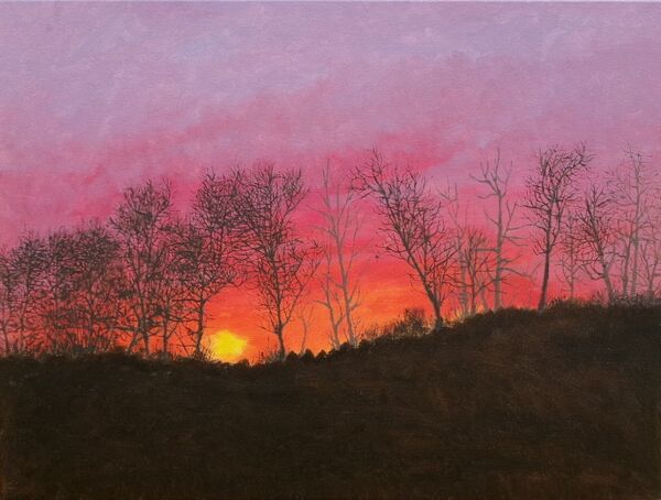 178-Sunset Behind Oaks.JPG