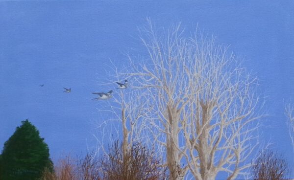 179-Bare Trees With Woodpigeons.JPG