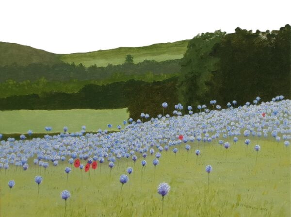 180-Phacelia Crop.JPG