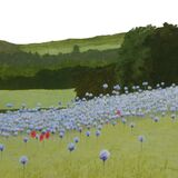 180-Phacelia Crop.JPG