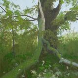 182-Storm-Damaged Tree.JPG