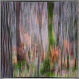Deep Wood Colours