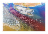 Flamingos Over Lake Magadi