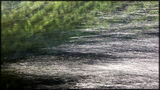 Water Light