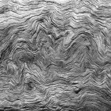 Contours in driftwood