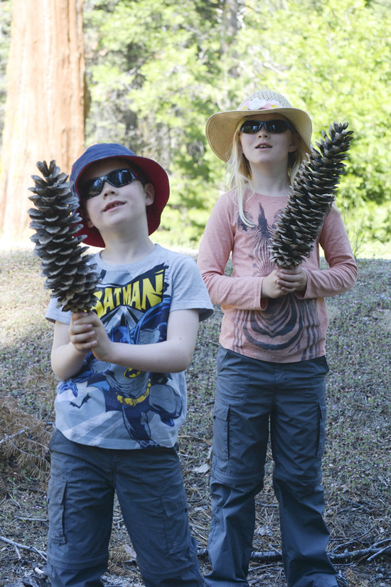 Cones