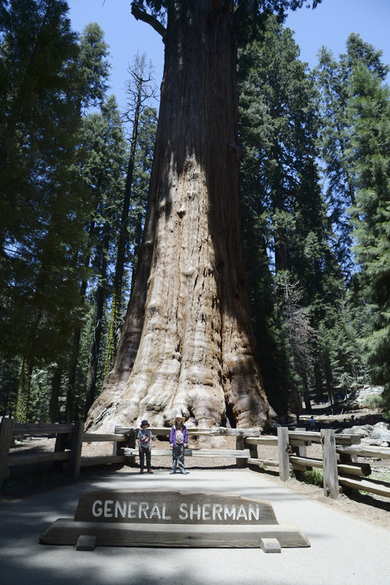 General Sherman