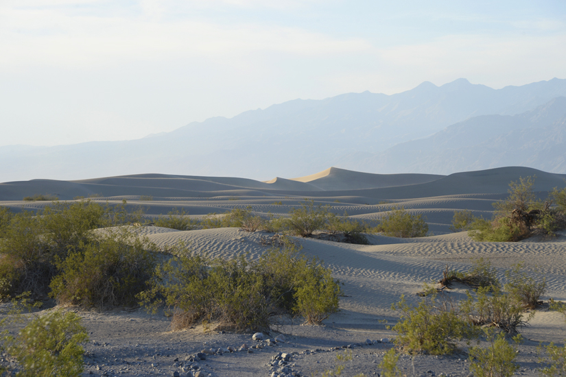 Mesquite Dunes