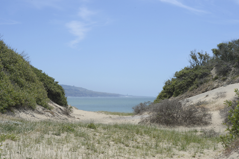 Ano Nuevo