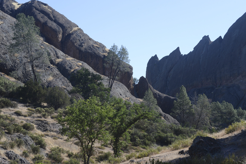Pinnacles National Park