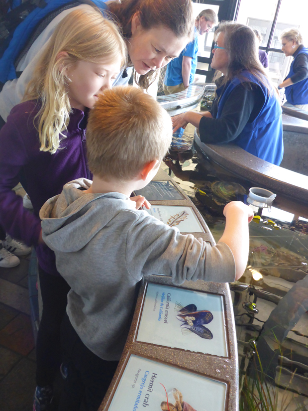 Monterey Bay Aquarium