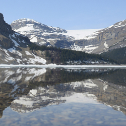 Bow Lake