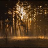 Early Light