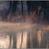 Drifting Downstream