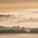 Surrey Hills
