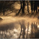 Light on the Wey