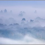 Surrey Hills
