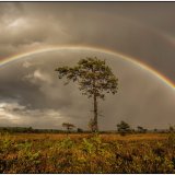 Under the Rainbow