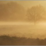 Along the Wey
