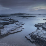 Coquet Island from Amble