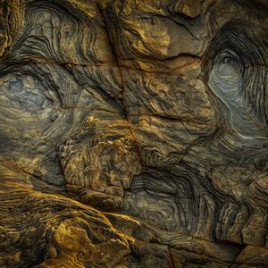 Hiding in Plain Sight