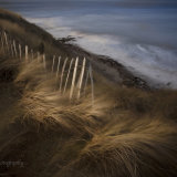 Blowing in the wind