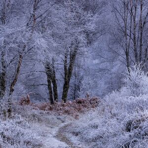 Winter Intimate Landscapes