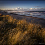 Evening at Warkworth