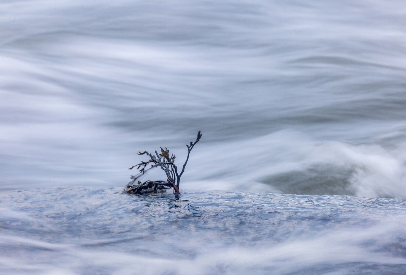 Resilience