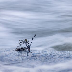 Resilience