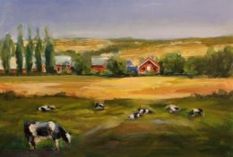 Cows in Field