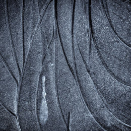 Ice Abstract 3