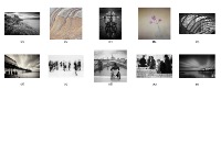 Licentiate Royal Photographic Society