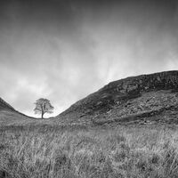 Sycamore Gape, Northumberland