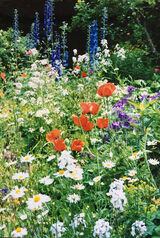 The most amazing and breathtaking garden