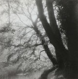 The Mill Stream taken by Ruth in the 1960s